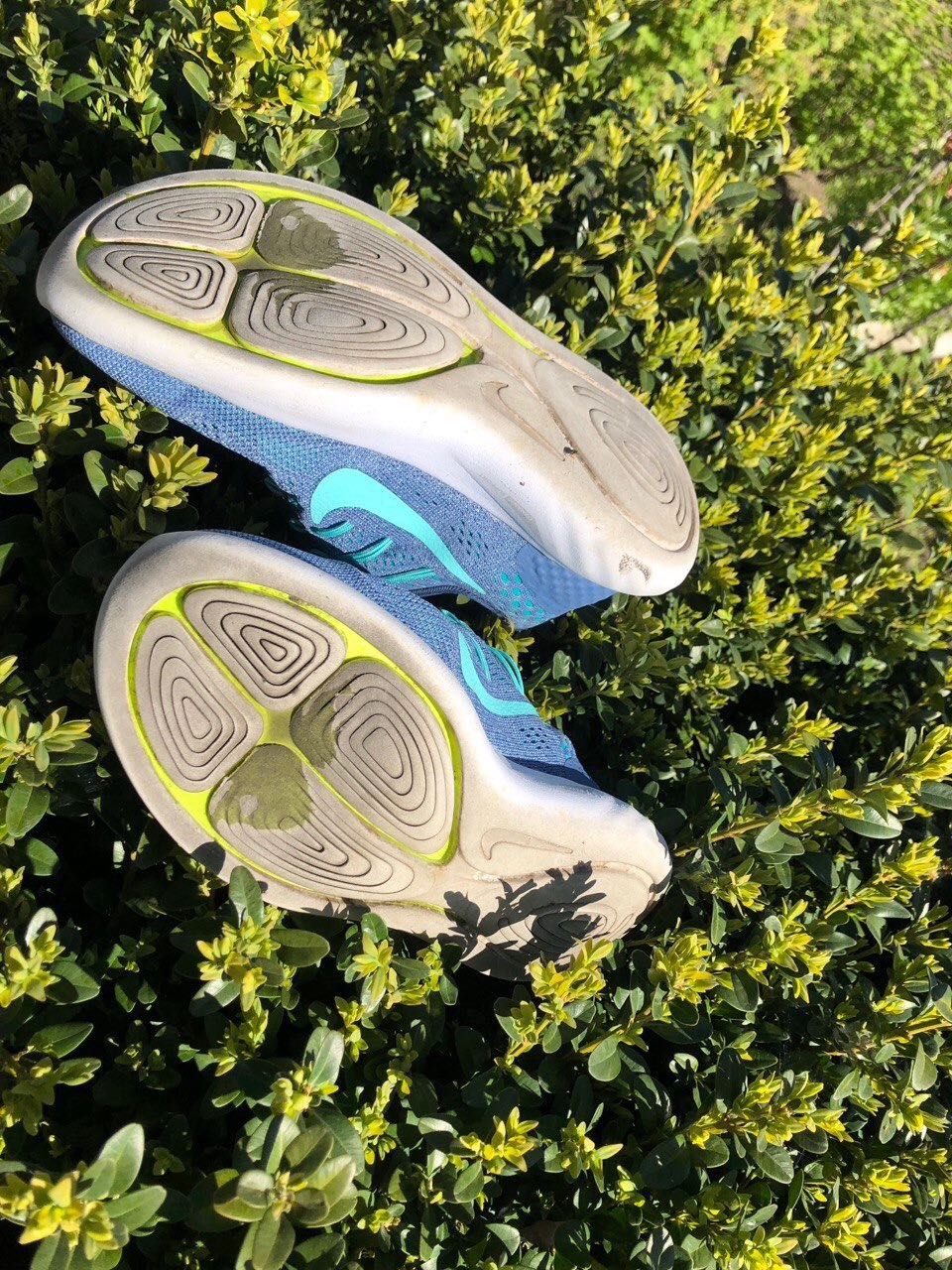 Кросівки Nike Lunarglide 8