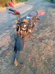 Продам вайпер zs200-2
