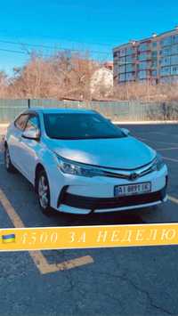 Аренда авто Киев Toyota Corolla|Лучшие машины и условия!