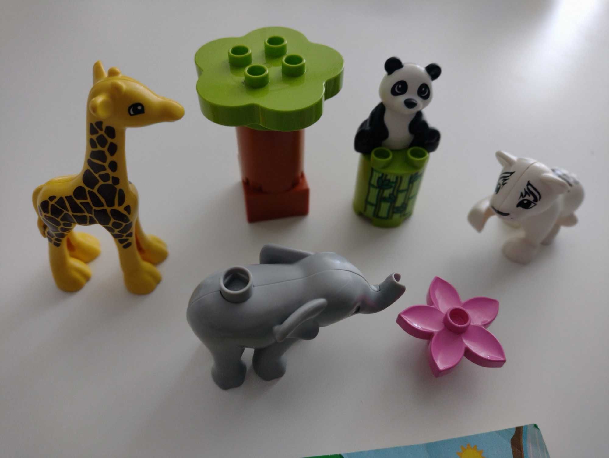 LEGO Duplo - Małe zwierzątka 10904