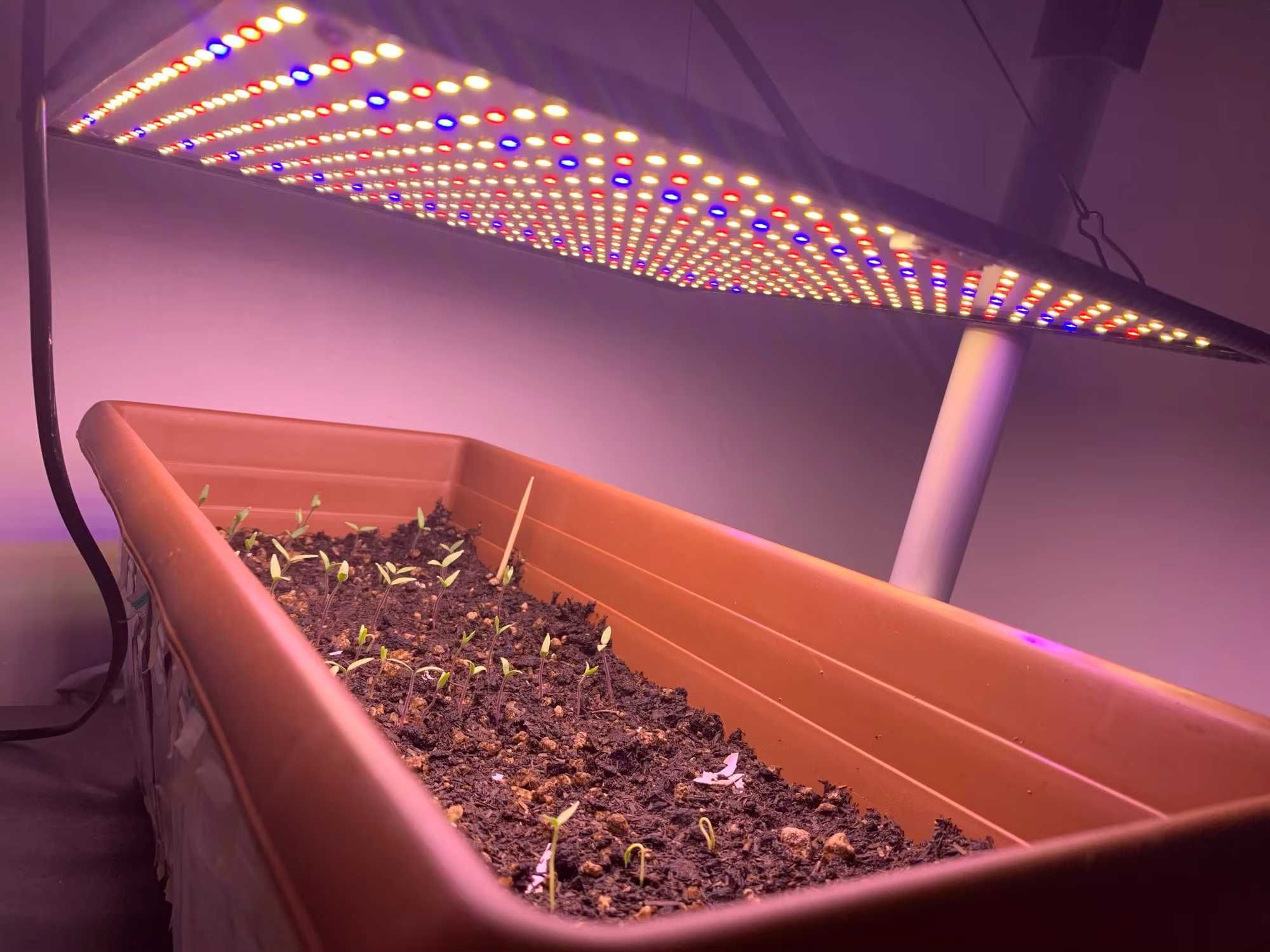Potężna Lampa LED 1200W Do Oświetlania Roślin Uprawy Dla Growboxa