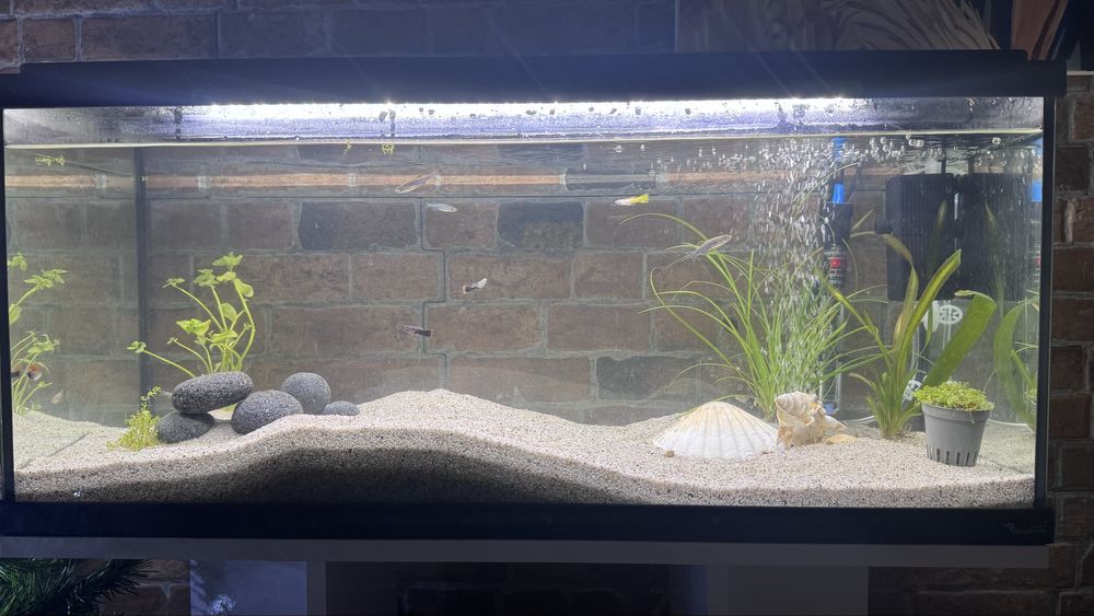 Aquário Aqualantis Explorer