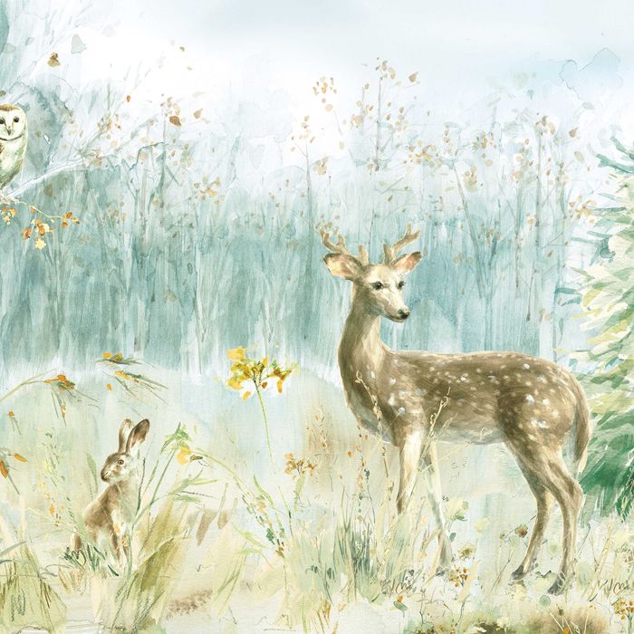 Fototapeta Las Sarenka Natura Dla Dzieci Widok 3D Twój Rozmiar + KLEJ