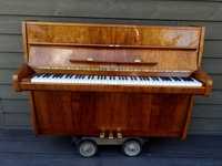 Pianino SAUTER 106cm 1966r RENNER ciemny brązowy POŁYSK