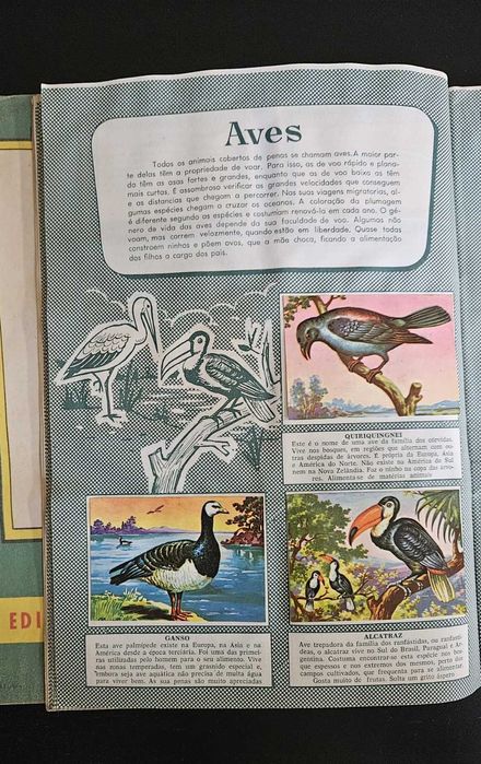 História Natural - Caderneta de Cromos Completa - 1958