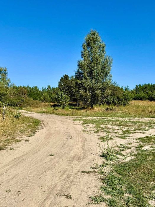 Земельна ділянка біля ЛІСУ! с. Рижики, Хмільницька с.р A11