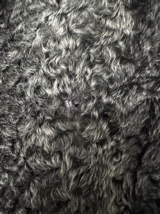 futro z Karakuł rozmiar S