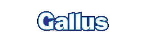GALLUS Professional Universal 55P 3,05kg proszek do prania