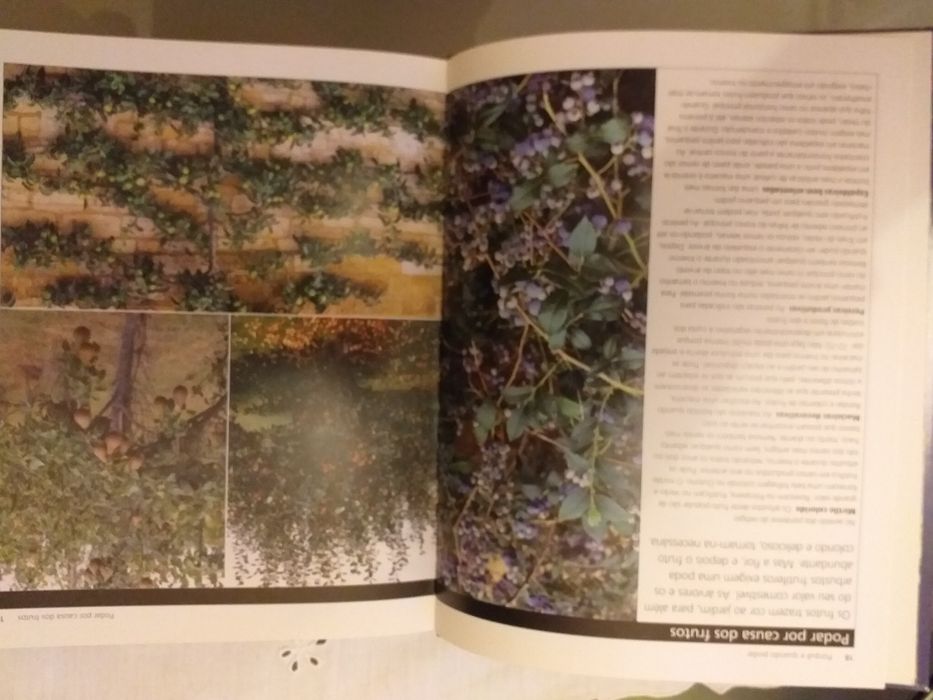LIVRO " Aprender Jardinagem. PODA FÁCIL