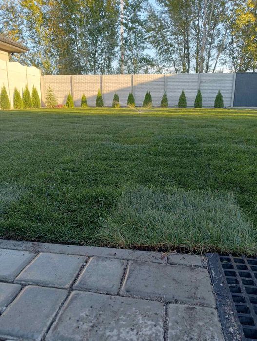 Озеленення території, укладання  рулонного газону Дніпро