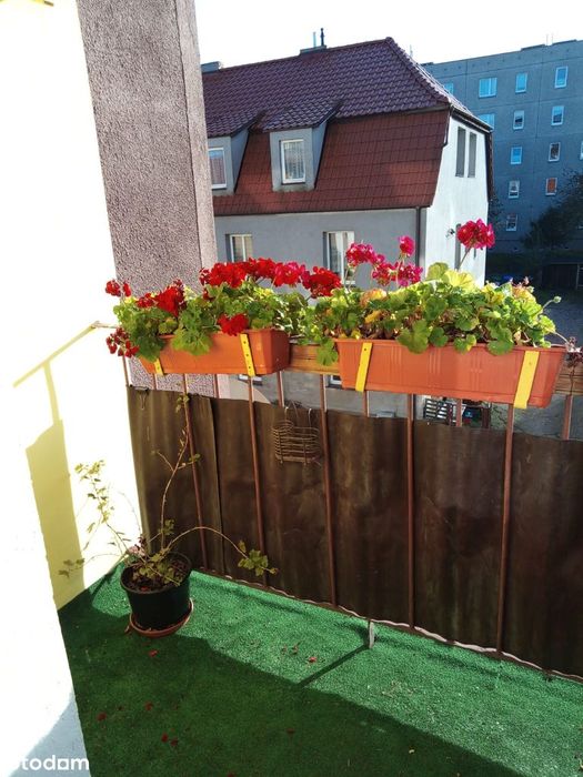 Mieszkanie 66 m² w Świdwinie