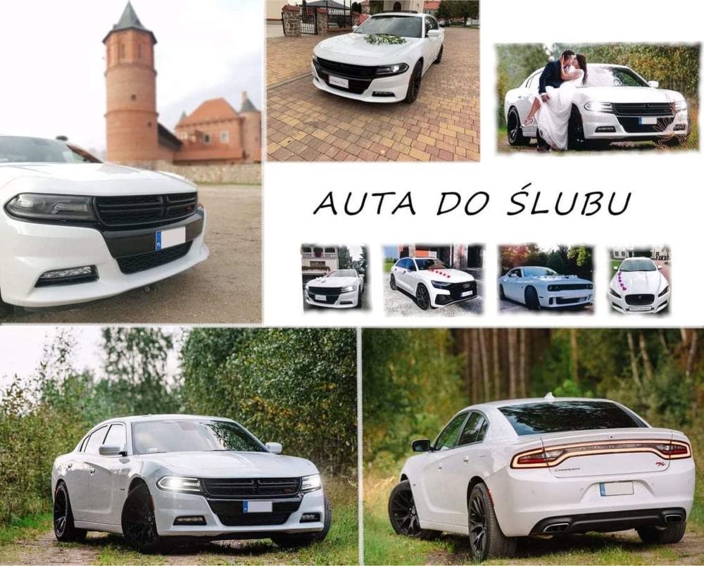 Auto do ślubu DODGE CHARGER, wynajem samochodu na wesele