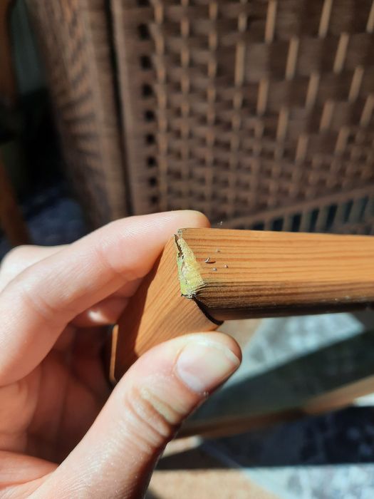 Obraz pastela pejzaż leśna droga las pole łąka w ramie drewnianej vint