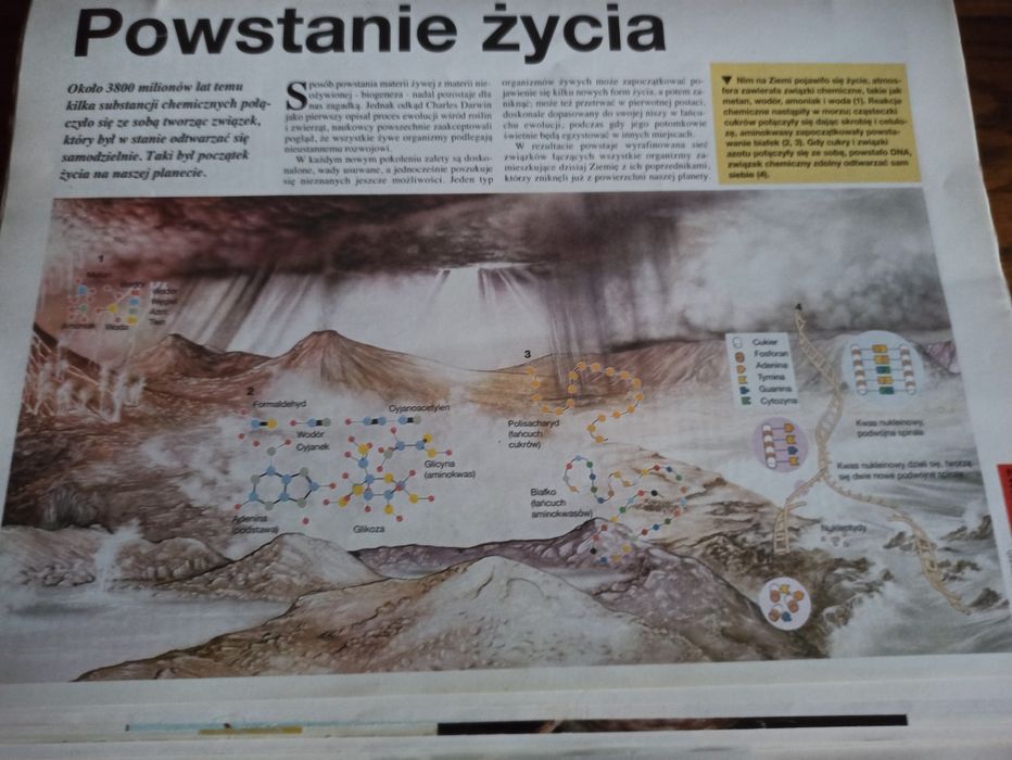 Świat wiedzy encyklopedia w segregatorach