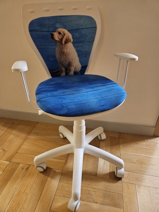 Krzesło obrotowe ministyle dla chłopca pies