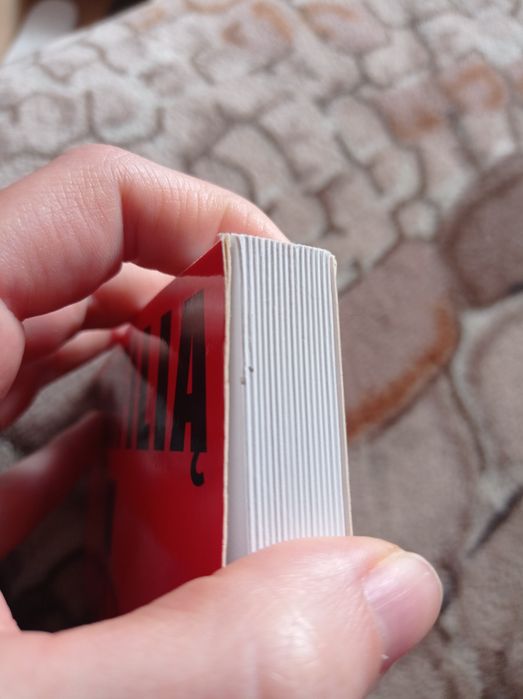 Książka Pedofilią w kościół oblicza kłamstwa