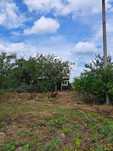 Продам будинок в селі Черкаси 7 км. від м. Ковель (село газифіковане)