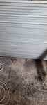 Profil ocynkowany 100x20x1.2