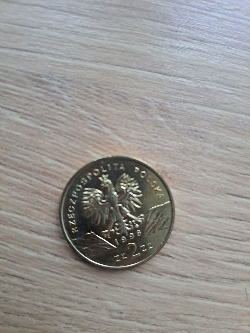 2 zł ropucha paskowka
