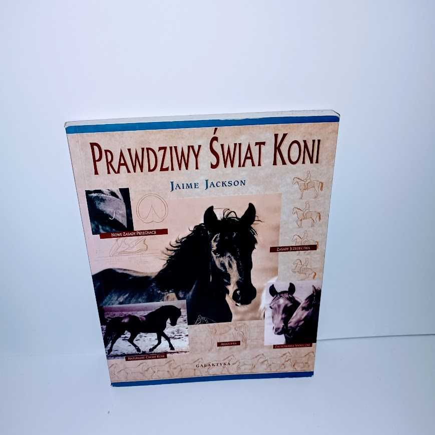 Jackson - Prawdziwy świat koni  UNIKAT