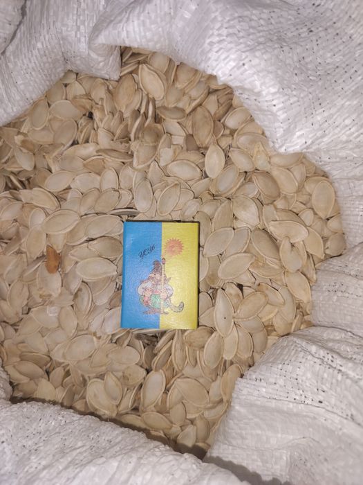 Гарбузове насіння Українська багатоплідна