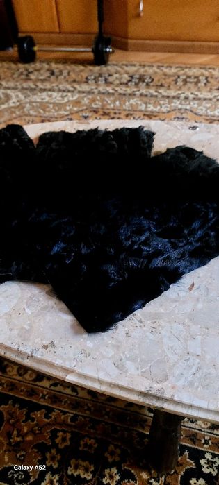 Предлагаю новый   черный женский берет из каракуля пр СССР Тисменница