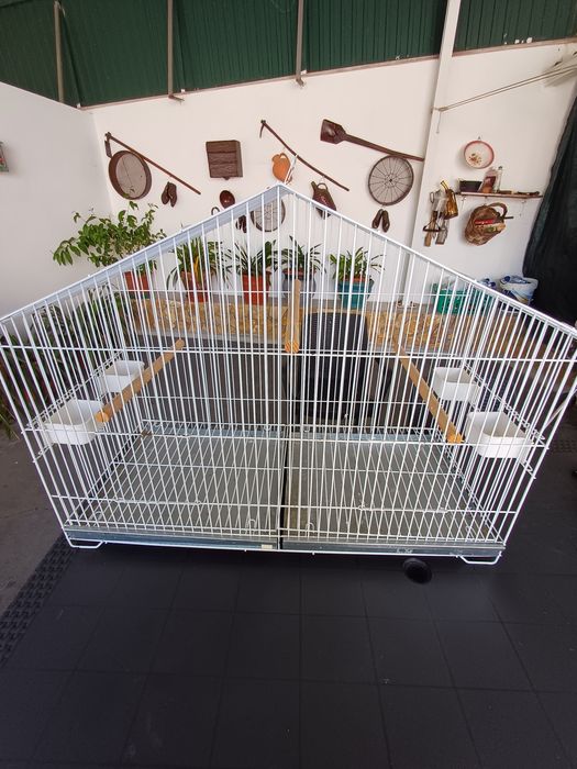 Gaiola Para Papagaio