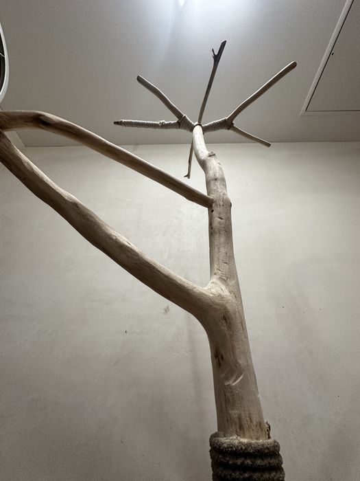 Stojaki dla papug z litego drewna – na zamówienie!