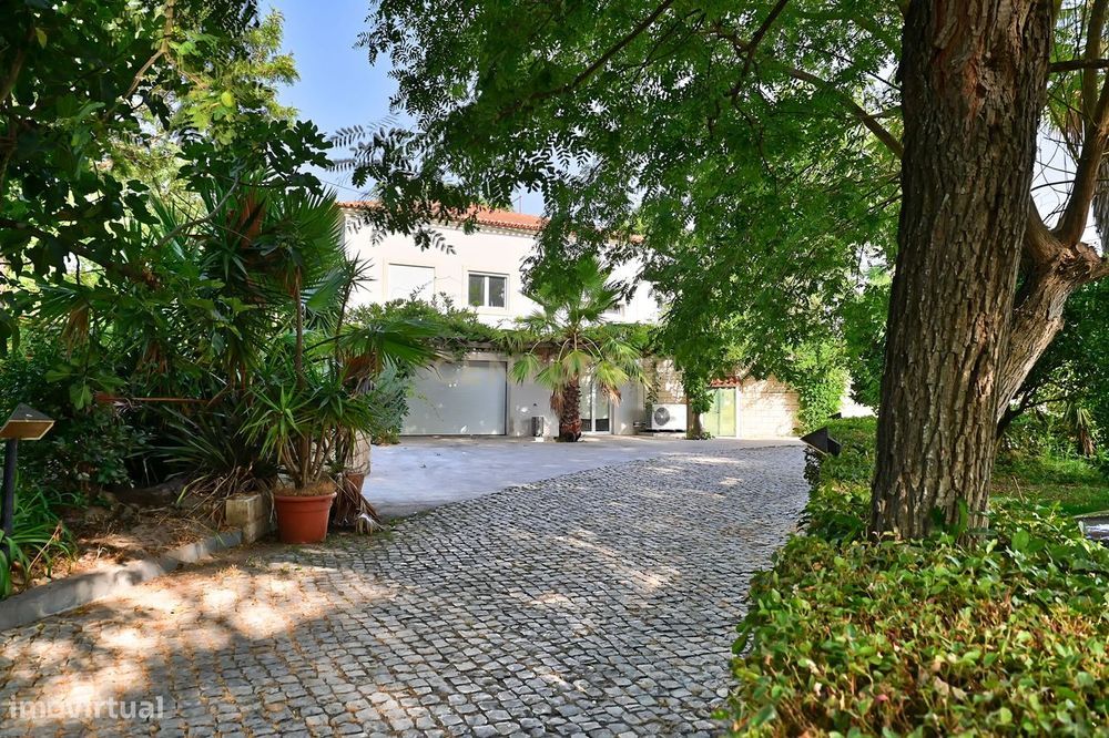 Quinta com moradia para venda entre as vinhas de Palmela e as planície