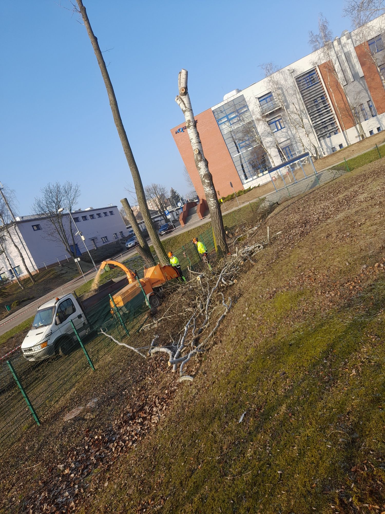 Wycinka sadów,  samosiejek, przywracanie do gruntu rolnego.
