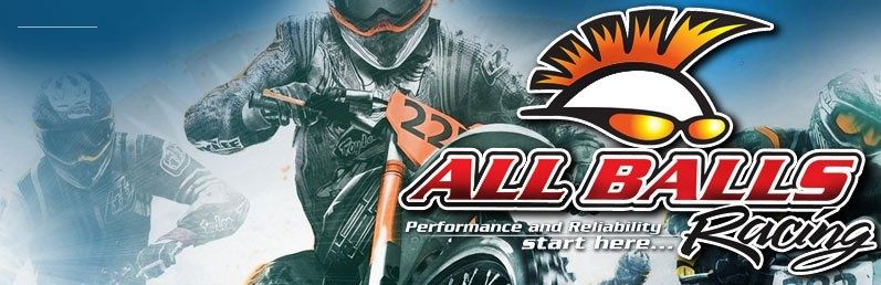 САЛЬНИКИ И ПЫЛЬНИКИ для вилки мотоцикла All Balls/Athena. Все Размеры