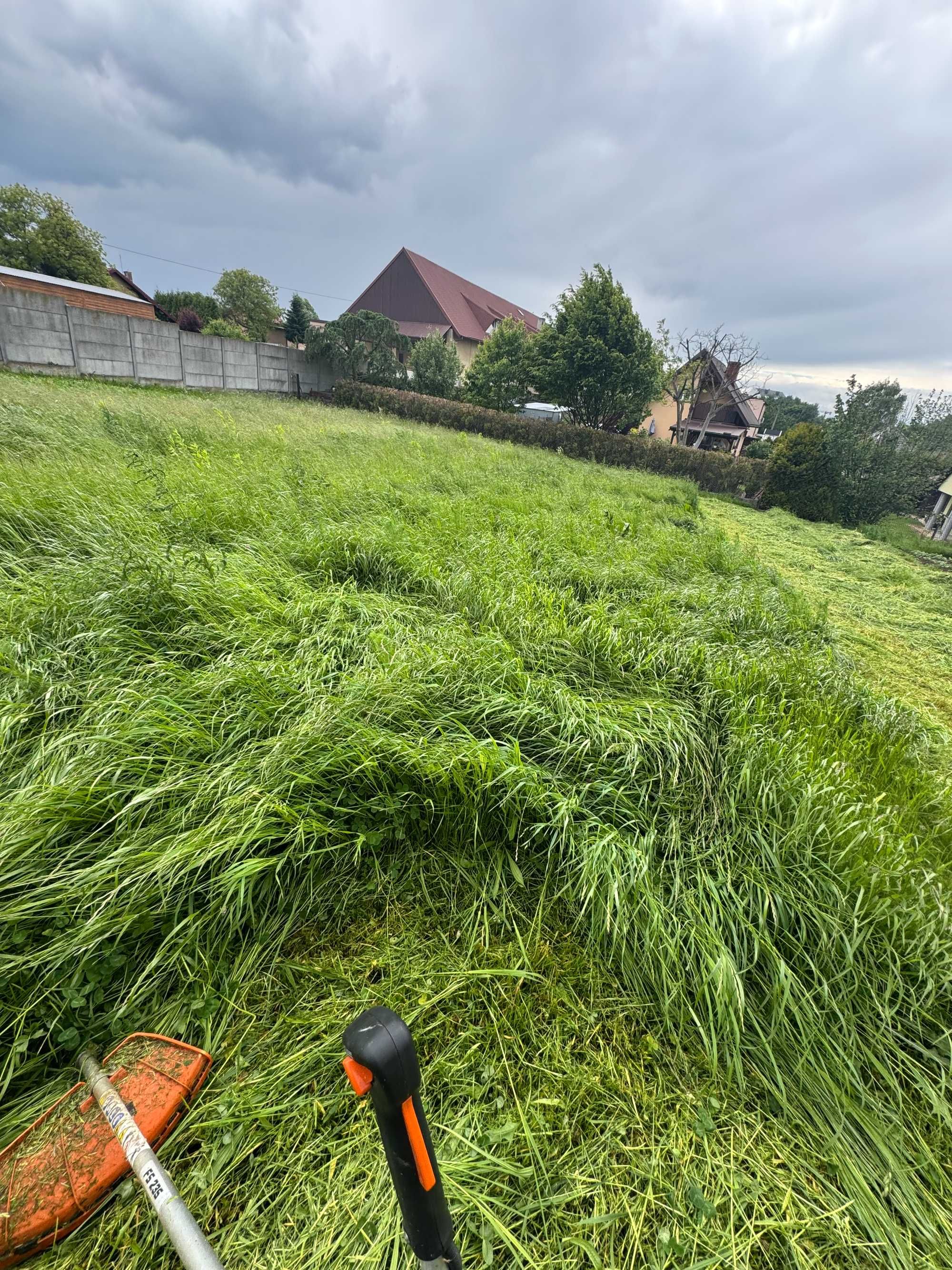 Mycie kostki brukowej i podcinanie żywopłotów