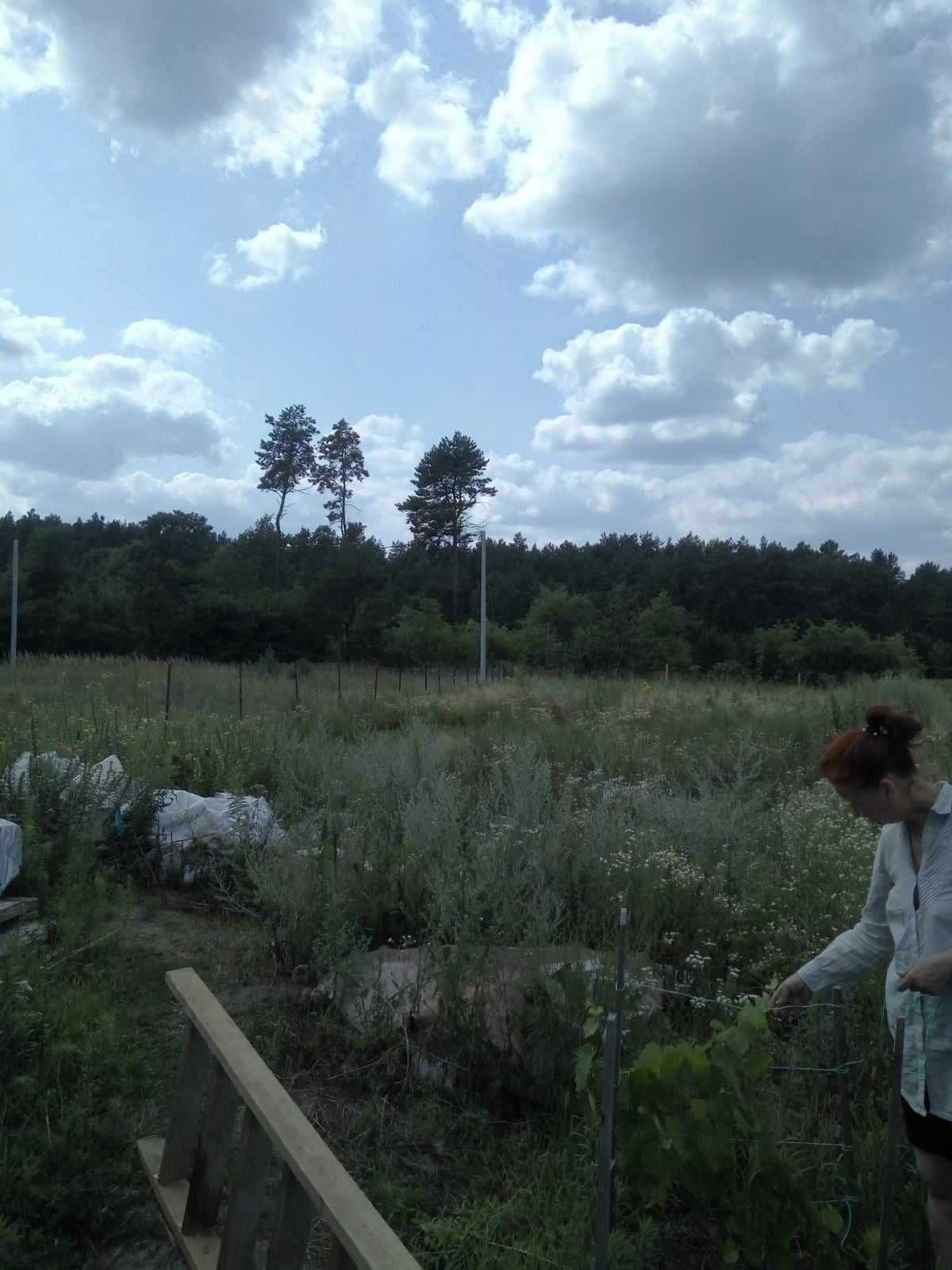 земельна ділянка під Києвом місце відпочинку, місце проживання