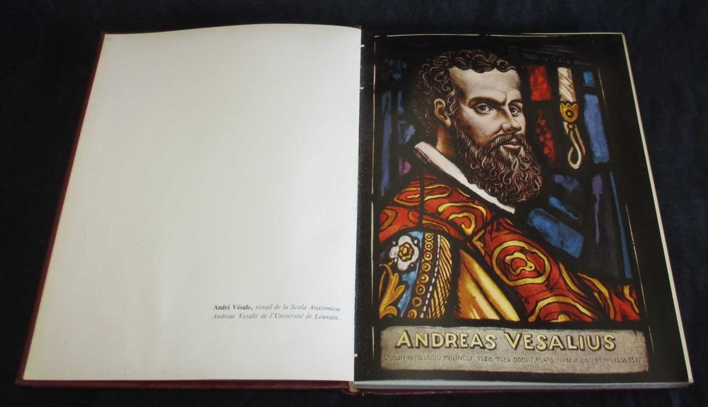 Livro Cava Vitalia G. Van Der Schueren 1959