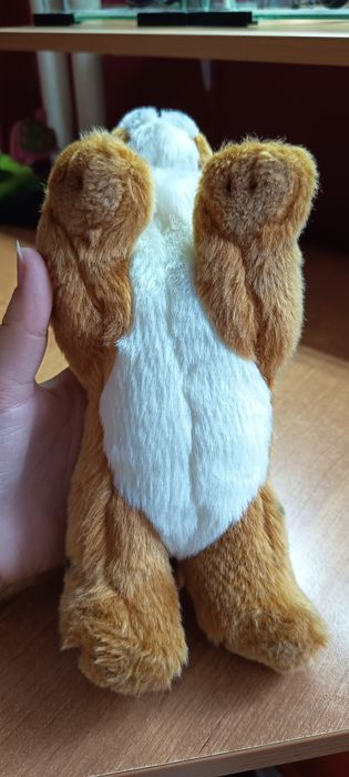 Mała maskotka tygryska