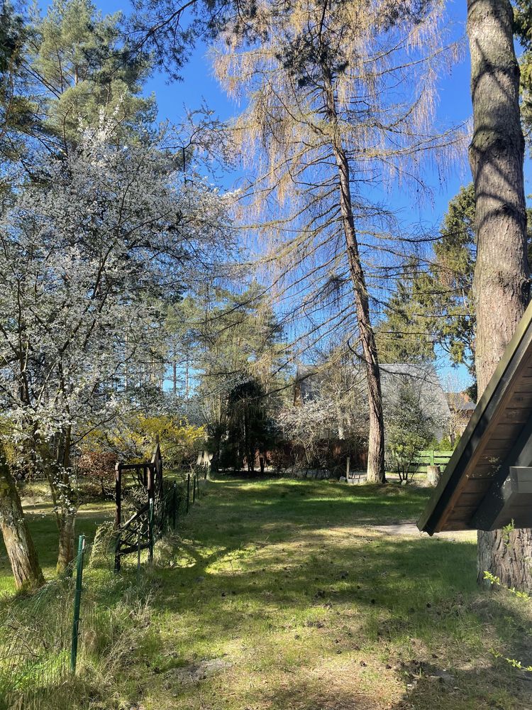 PODDĄBIE, blisko Ustki 500 m od plaży! wolne terminy SIERPIEN