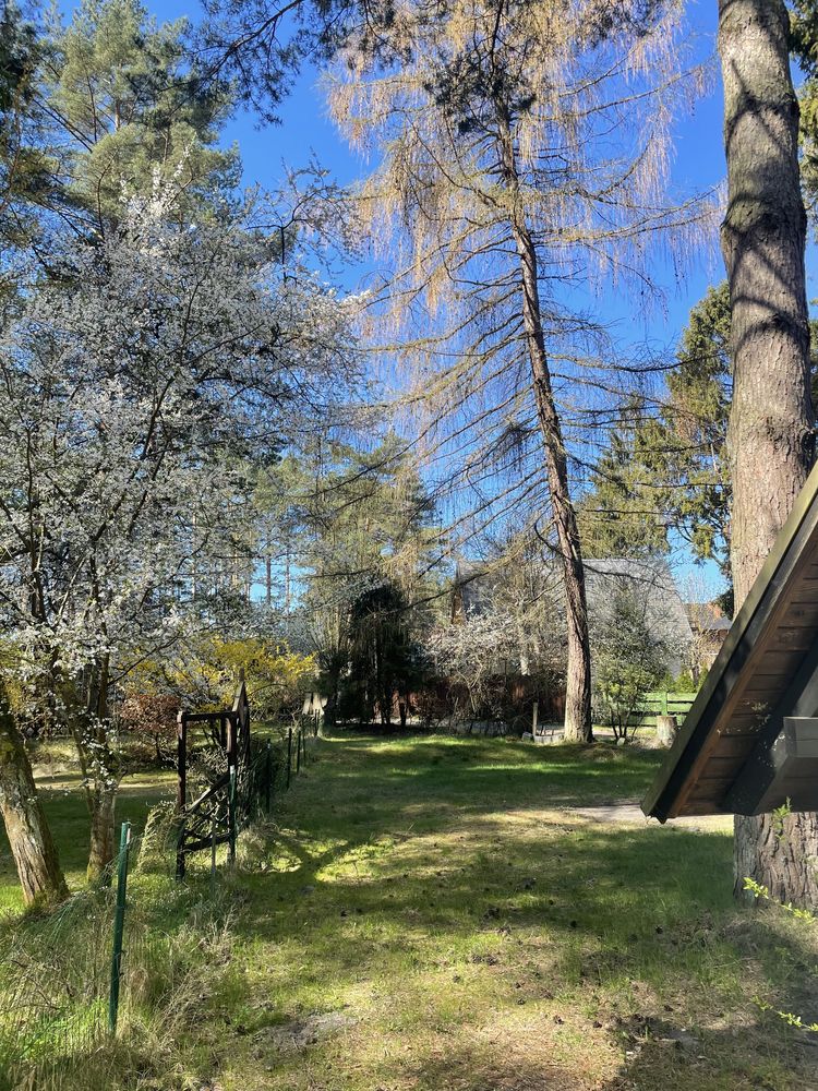 PODDĄBIE, blisko Ustki 500m od plaży! Ostatnie wolne terminy.