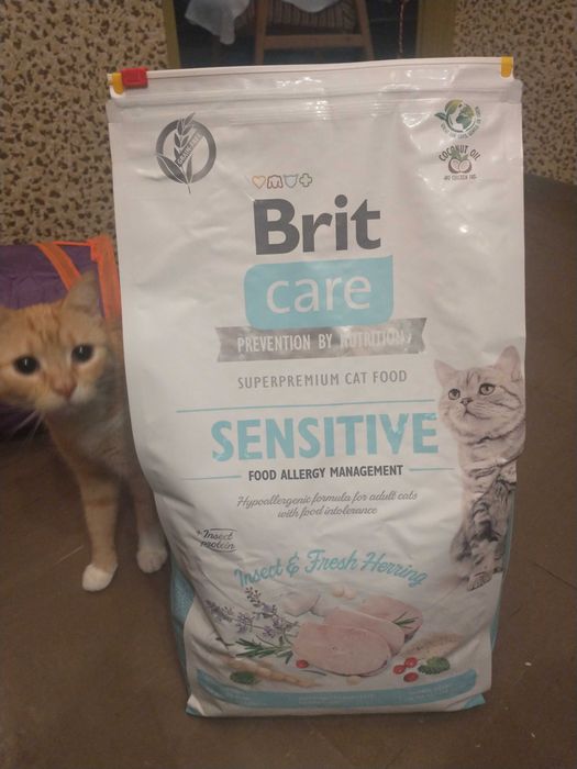 Sucha karma dla kota Brit care hipoalergiczna