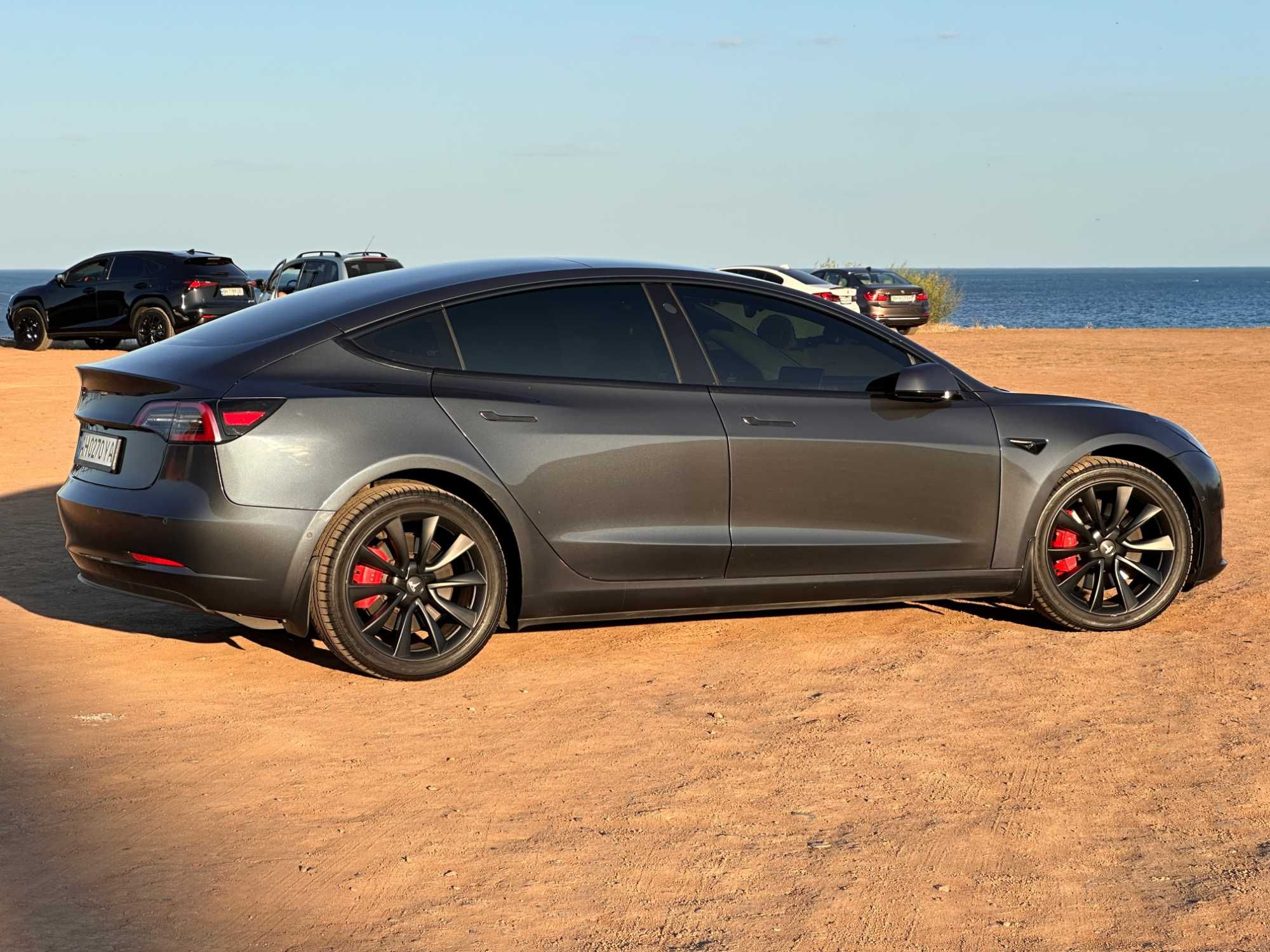 Tesla Model 3 Performance 2020 (Steel Grey PMNG)