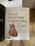 Atlas Netter do anatomii studia medyczne
