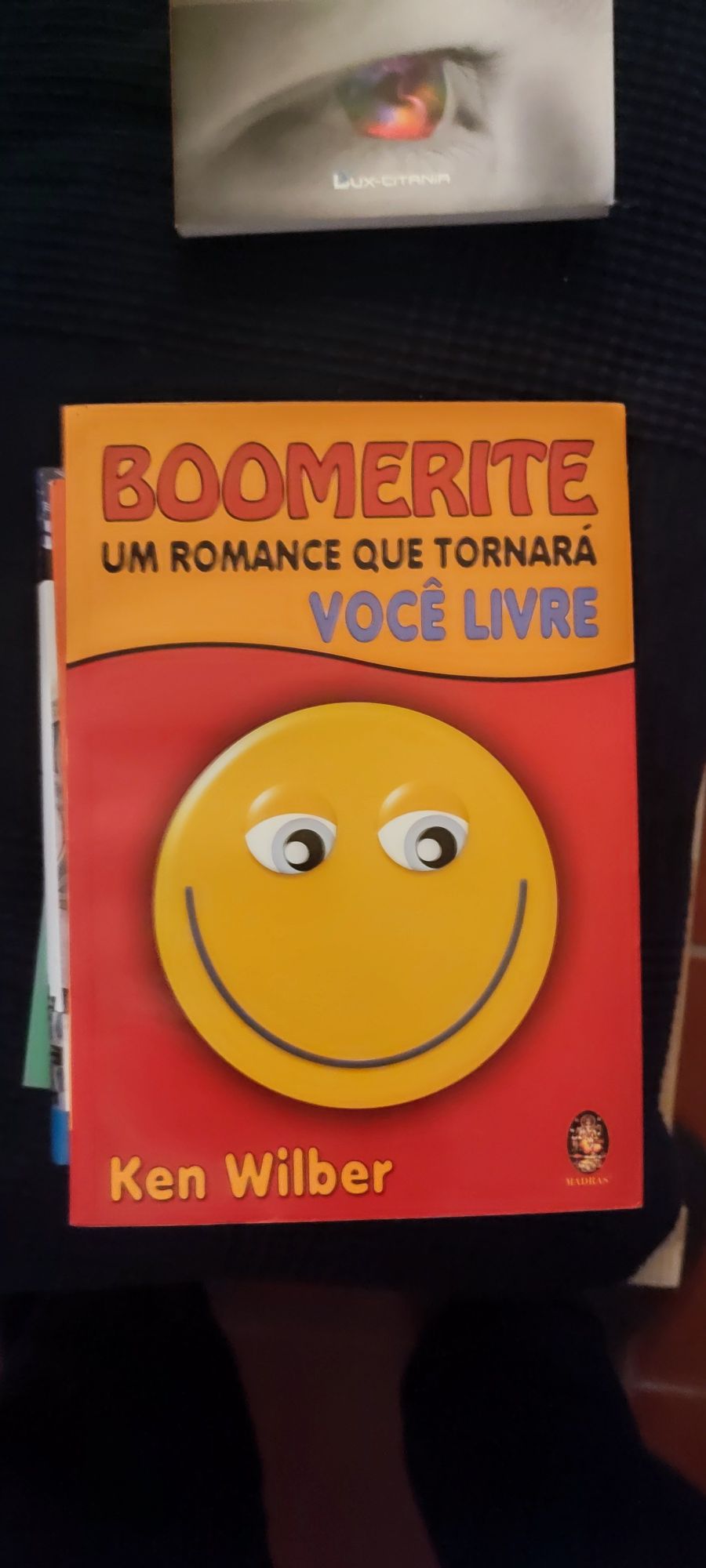 Boomerite - um romance que o tornará livre