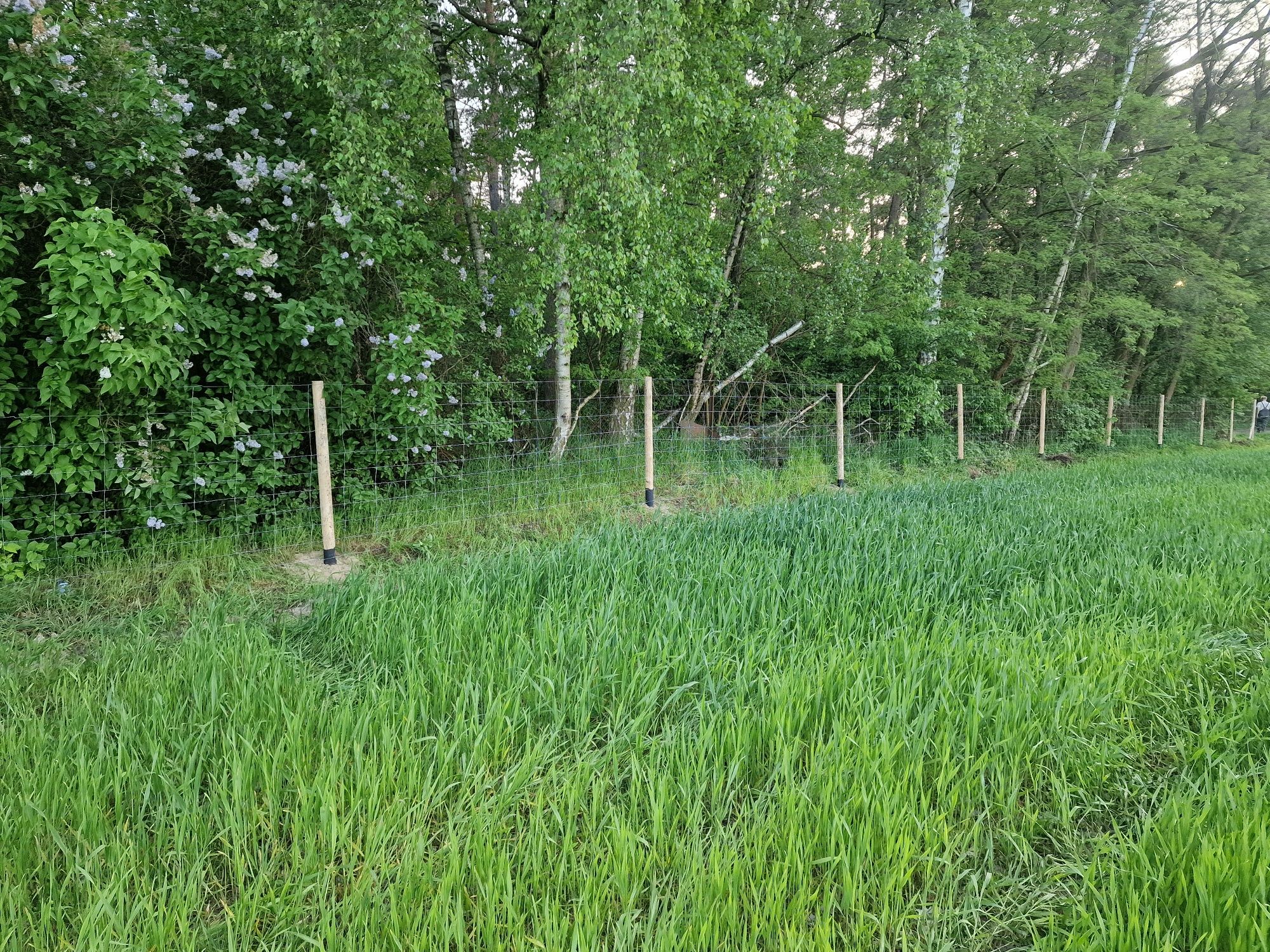 Ogrodzenie leśne budowlane tymczasowe siatka leśna