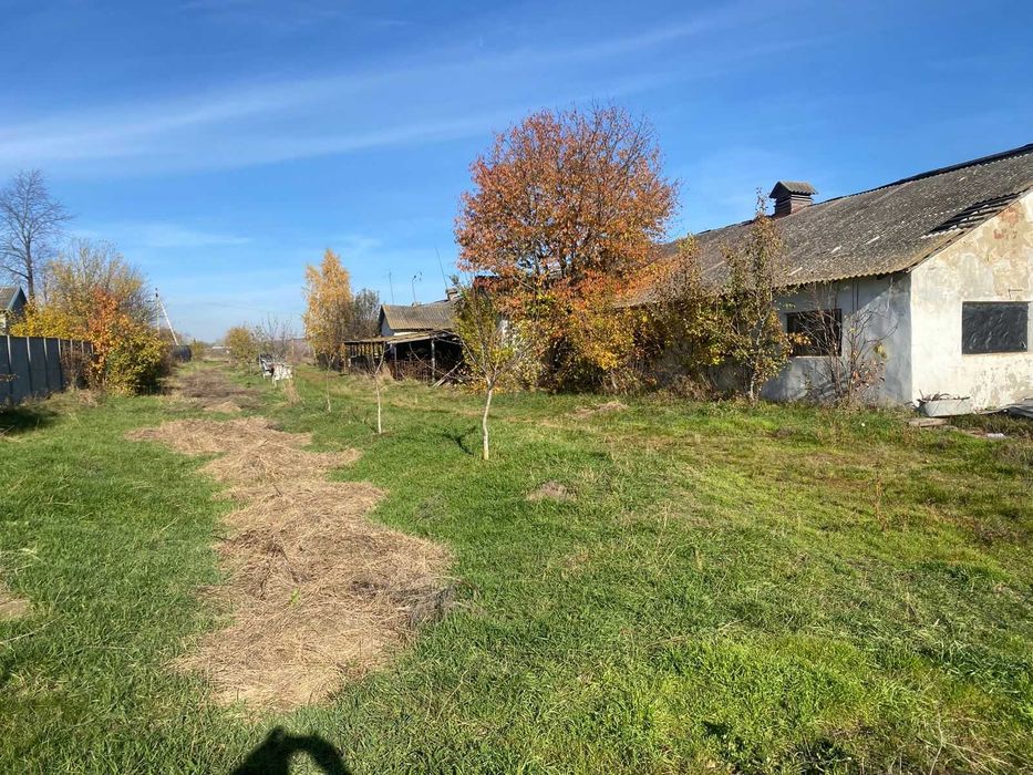 Продам фермерське господарство / виробниче приміщення