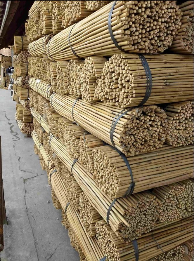 Tyczki Bambusowe 90 Cm 8/10 mm /500 Szt/