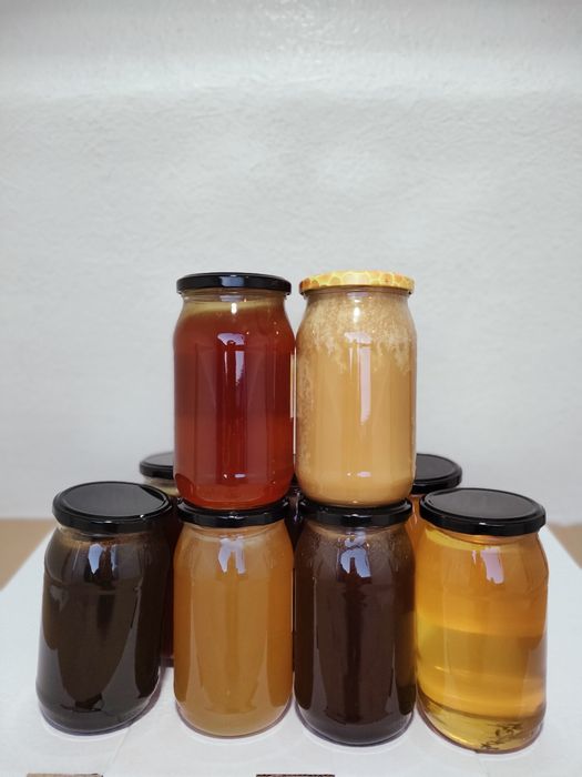 Miód naturalny 5+1gratis.