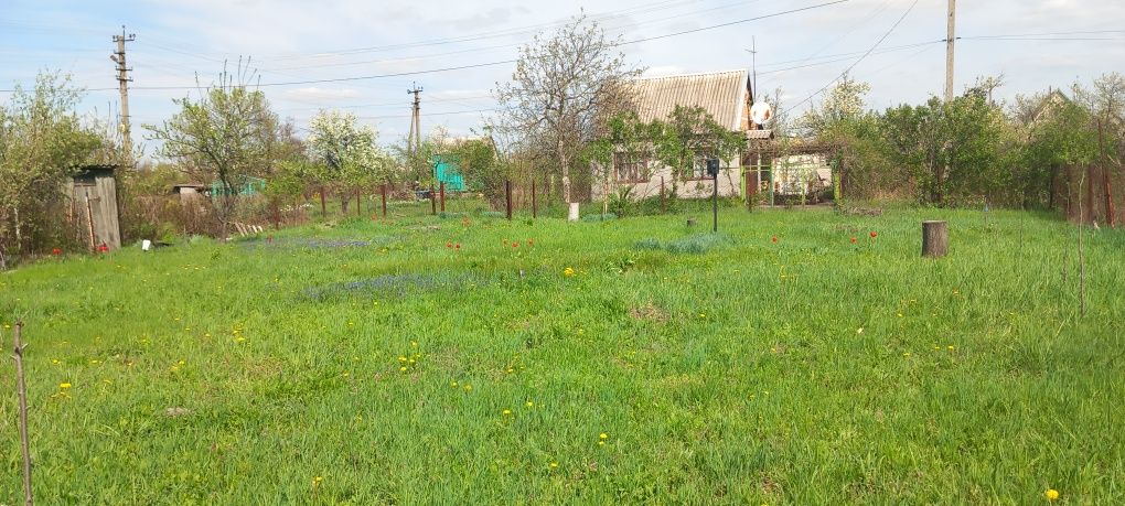 Дачну земельну ділянку  в центрі