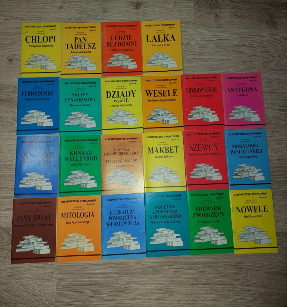 Opracowania lektur szkolnych (liceum/technikum