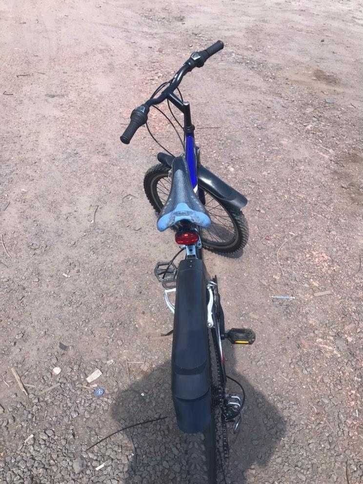 Ардіст горний продам