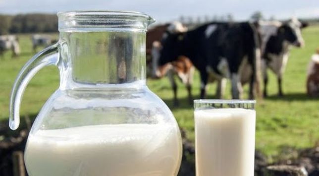 Продам домашнє коровяче молоко свіже