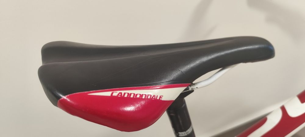 Rower Cannondale Trail SL4 29"